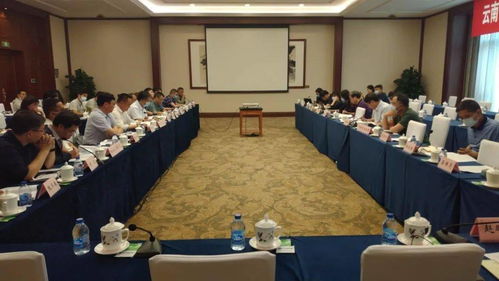 桃源水庫工程可行性研究報(bào)告技術(shù)咨詢會在京圓滿召開